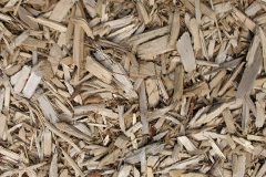 biomass boilers Sauchie