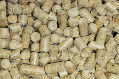 Sauchie biomass boiler costs